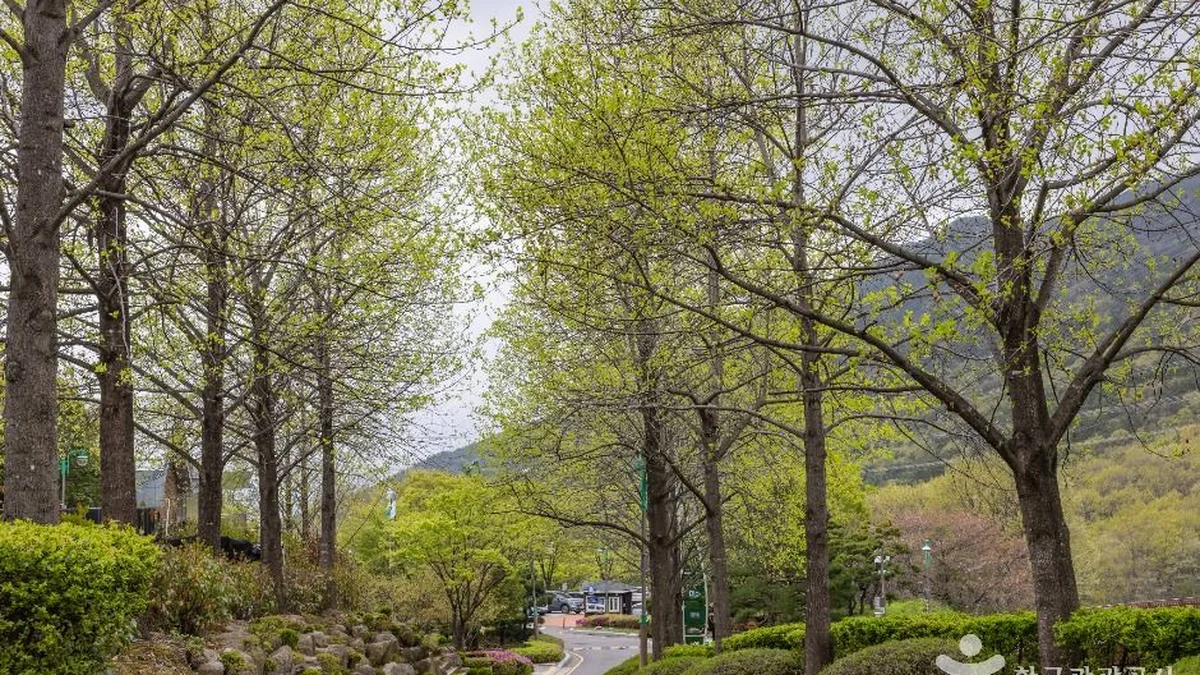 화명수목원