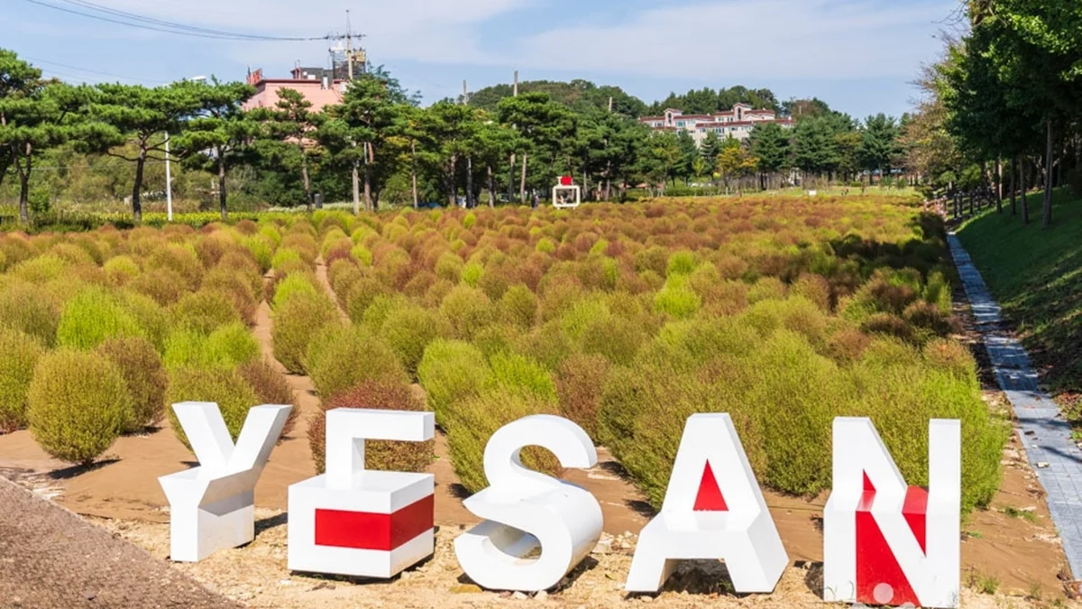 덕산온천지구