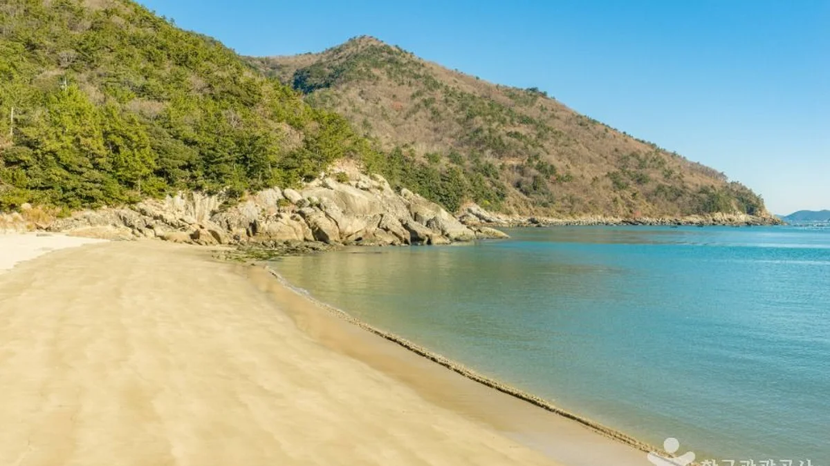 가사동백숲해변