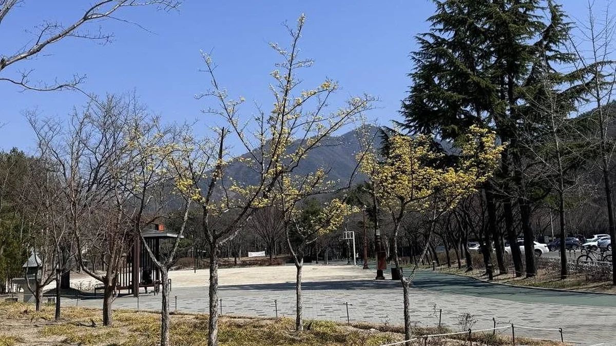 월광수변공원