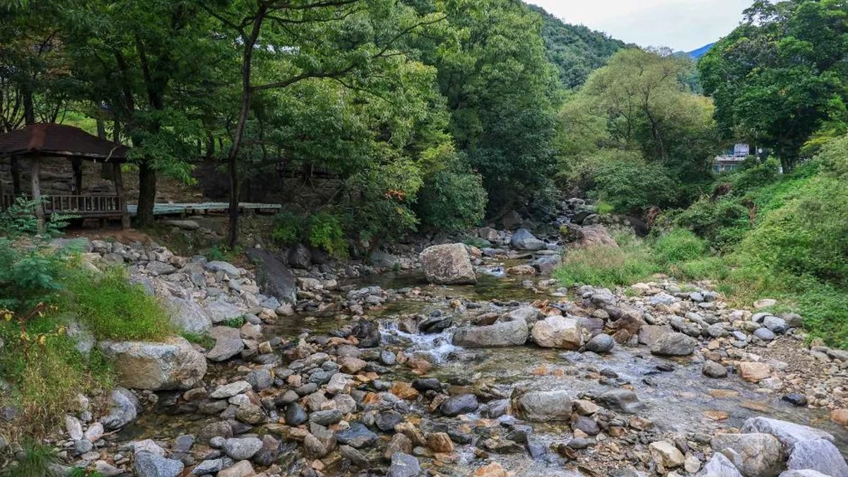 사나사 계곡