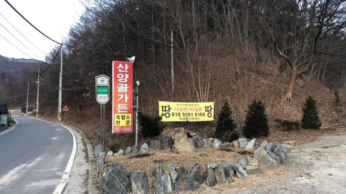 충북 산양골가든 맛집, 수육과 한적한 분위기의 조화
