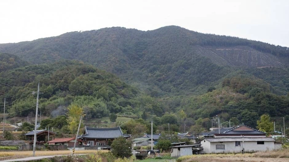 전북 덕재산 억새 명소, 사계절 내내 자연 속 힐링