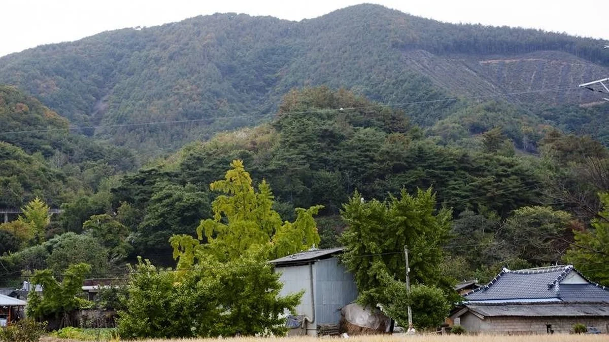 전북 덕재산 억새 명소, 사계절 내내 자연 속 힐링