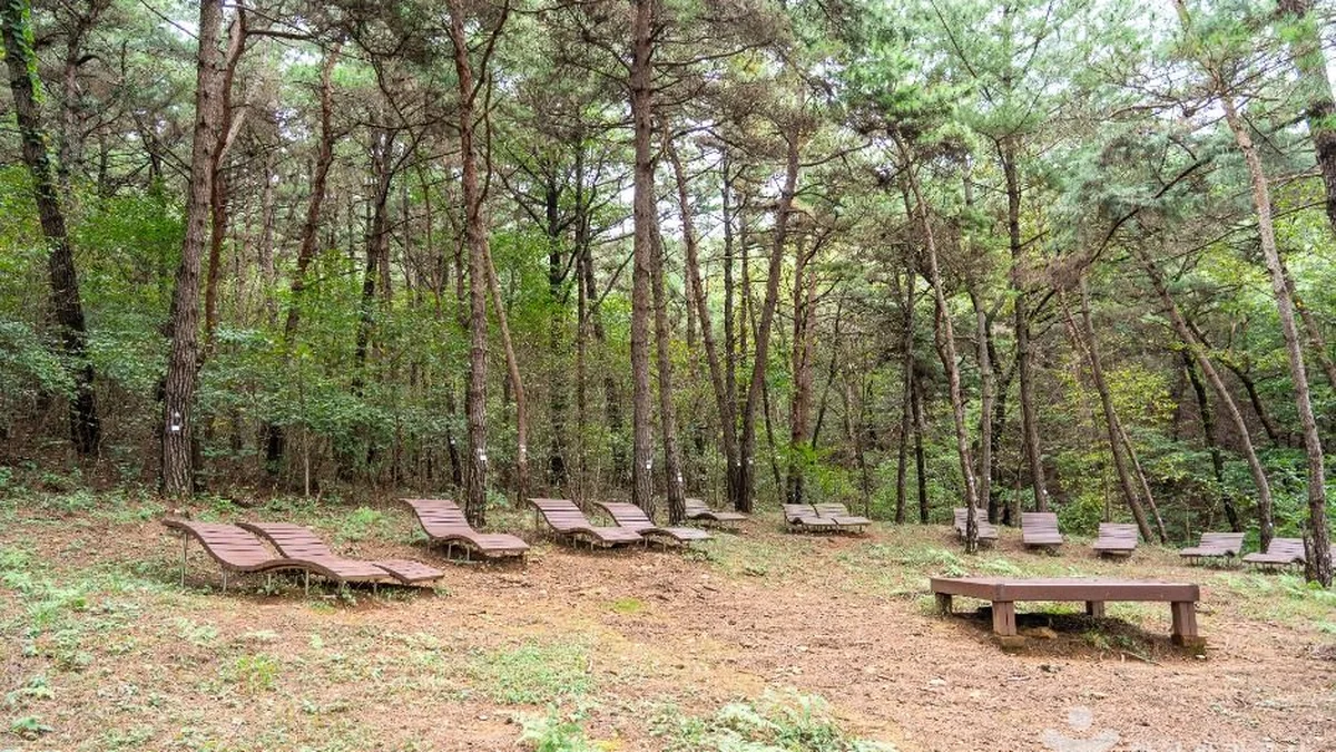 서천 치유의 숲
