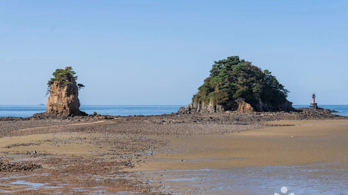 충남 꽃지해안공원, 낙조와 억새 감상 가을 명소