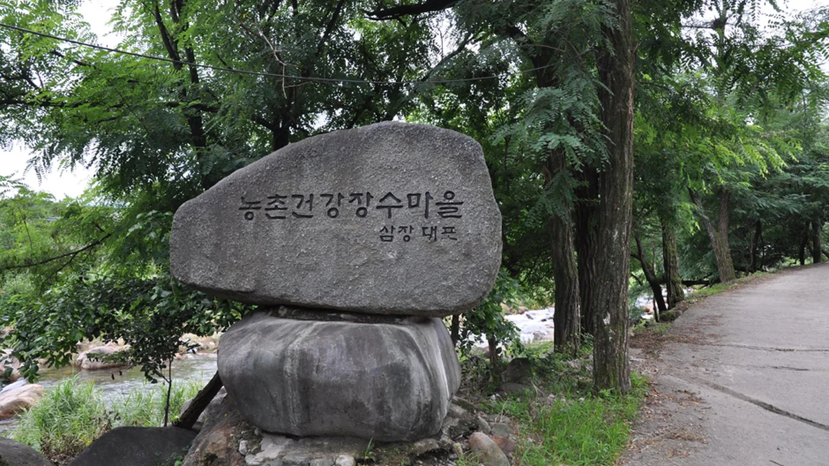 대포숲