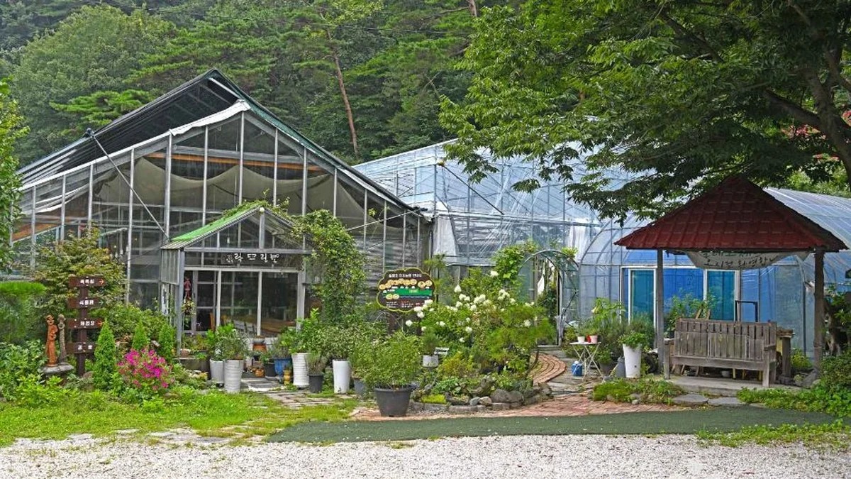 전북 강천산휴양농원, 자연 속 평온한 가을 여행지