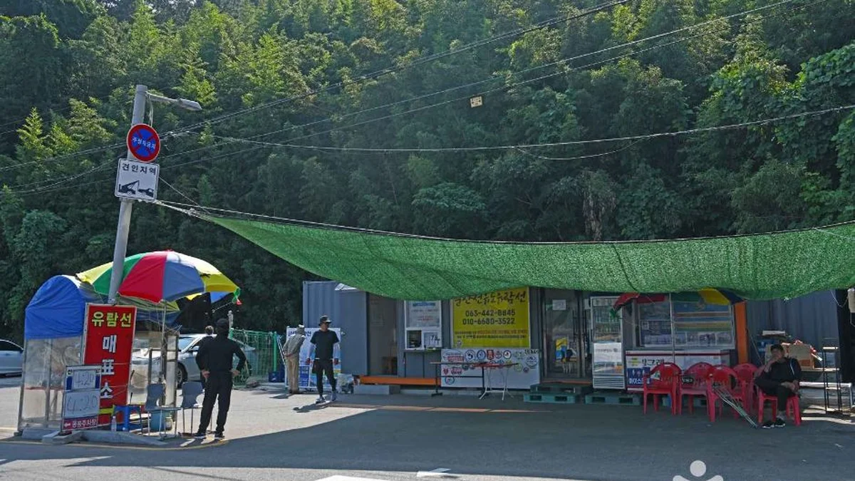 군산선유도유람선