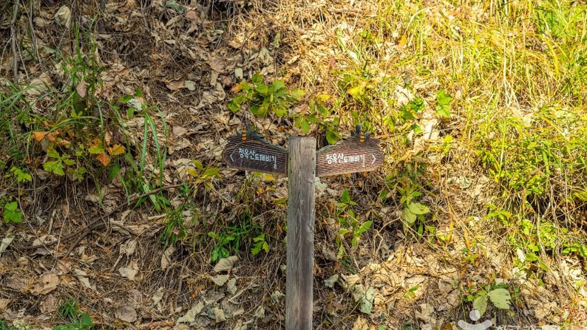 청옥산 도깨비길