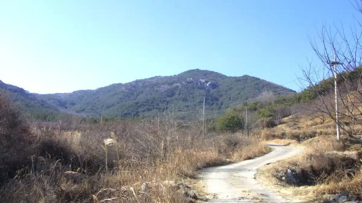 경남 대성산 억새밭, 가을에 꼭 가볼만한 명소