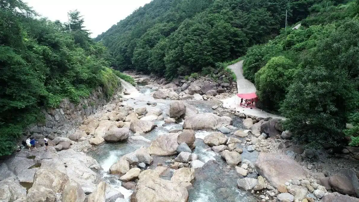 대성산