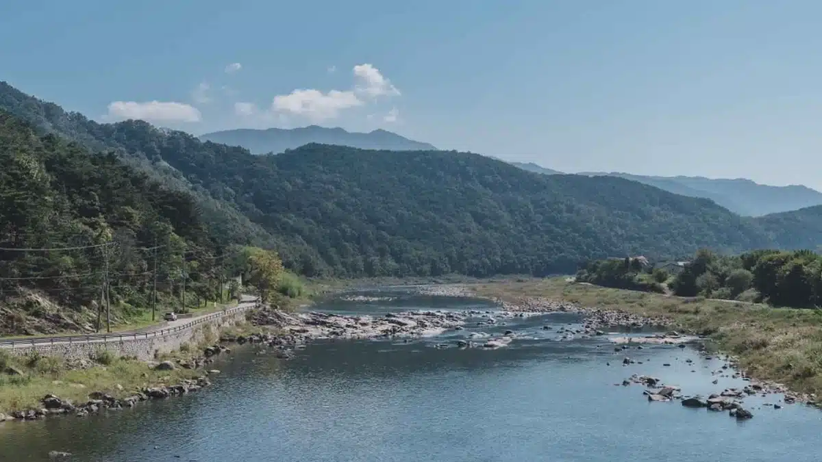대성산