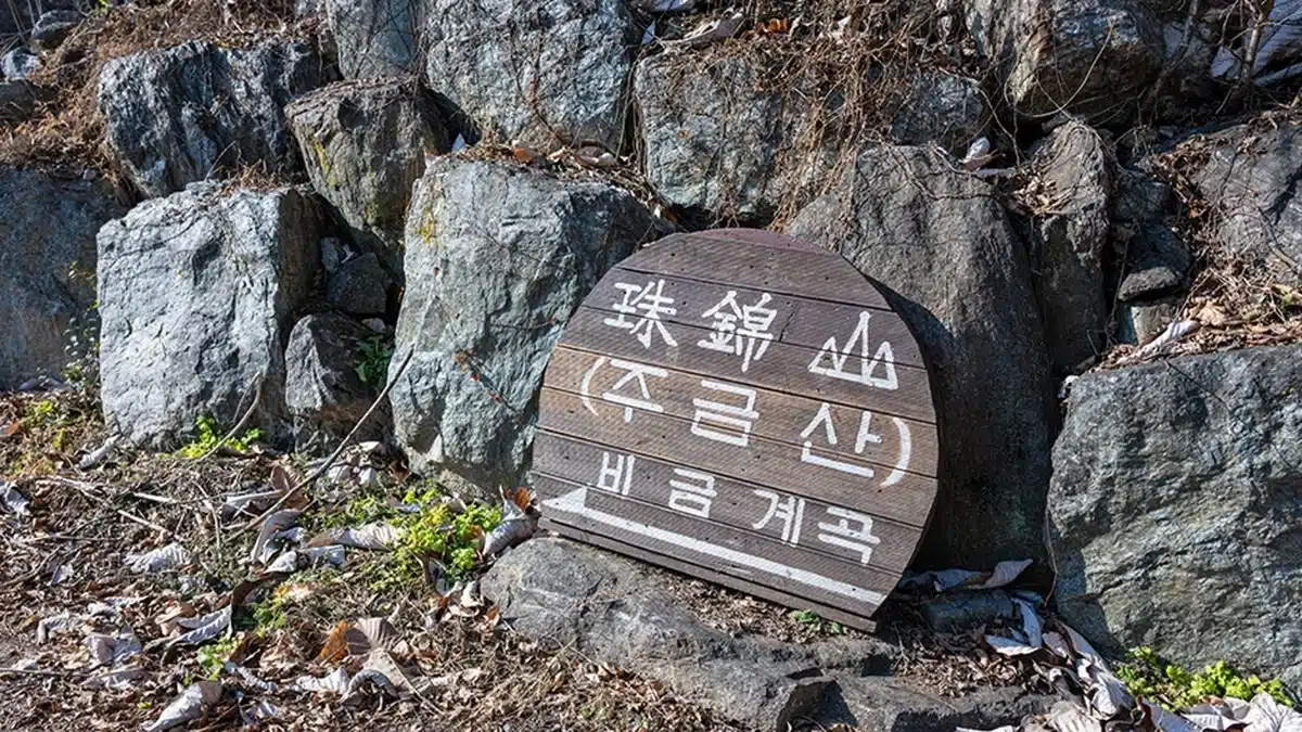 경기 비금계곡 가을 여행, 무료 주차와 힐링 피크닉 명소