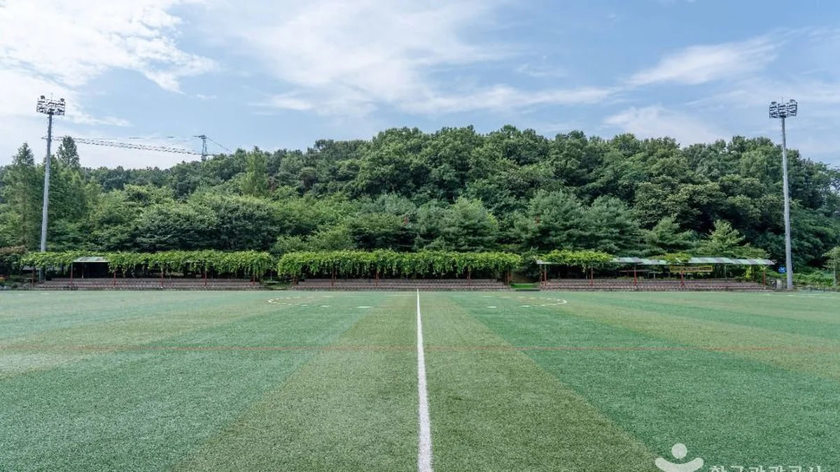 경기 부곡체육공원 축제, 자연 속 가을 나들이 명소