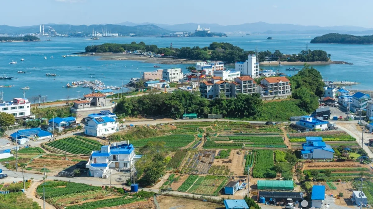 충남 영목항 가을 축제, 억새와 함께하는 항구의 매력