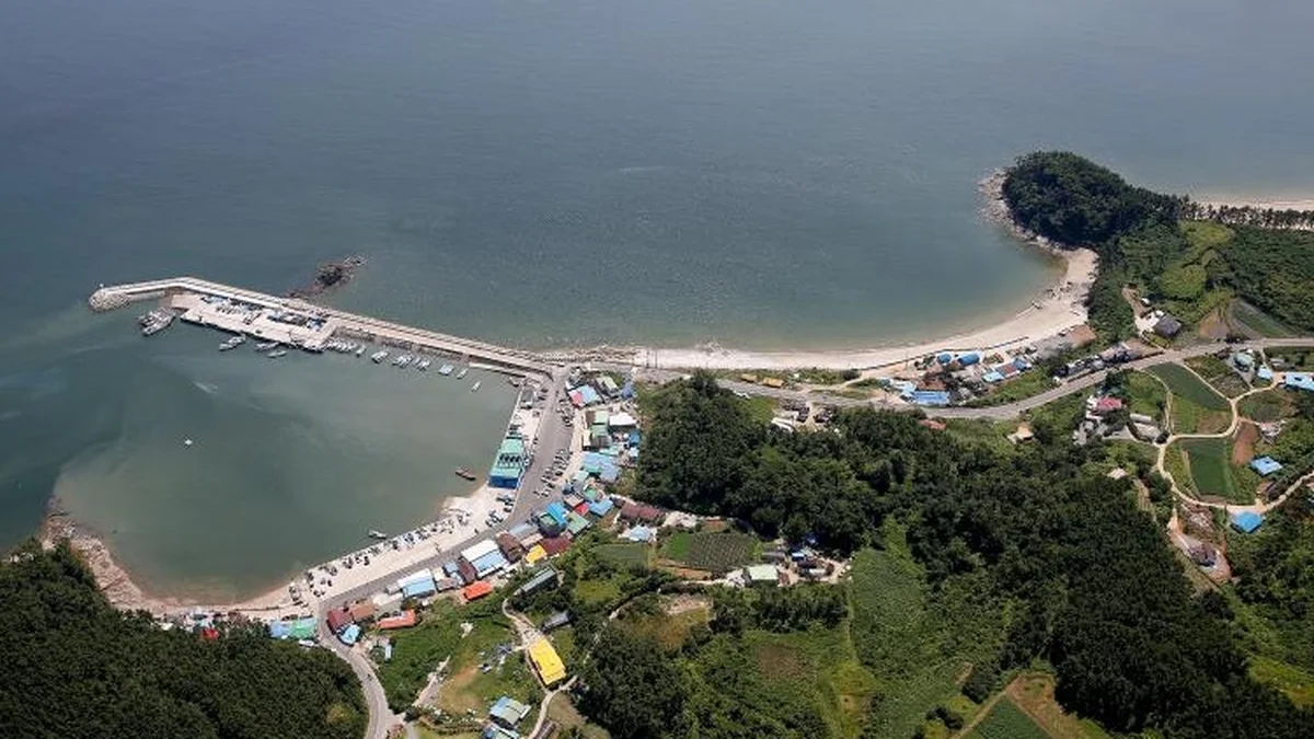 충남 채석포항 축제, 바다와 억새의 만남