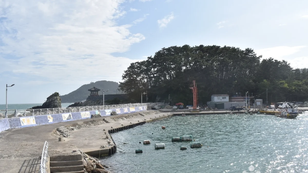 부산 죽도공원 억새 축제, 가을 자연의 향연