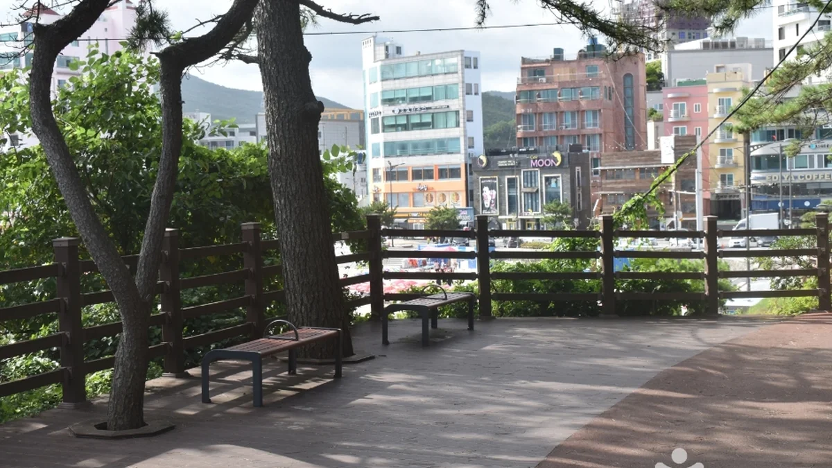 죽도공원