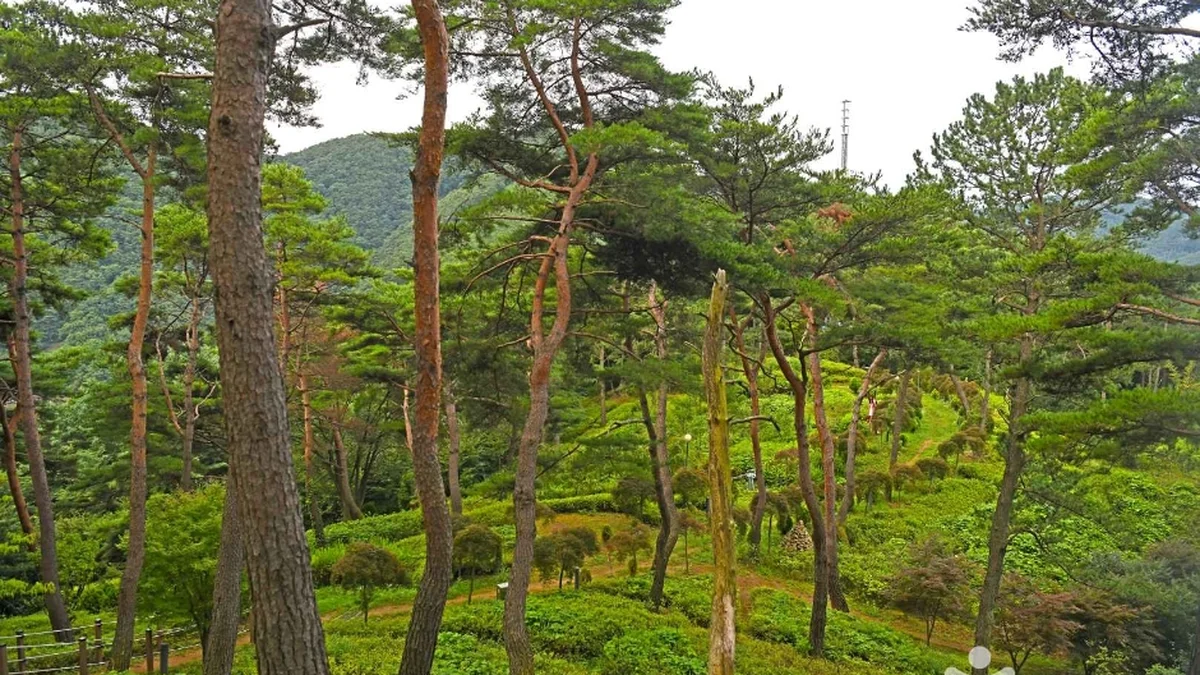 조산공원