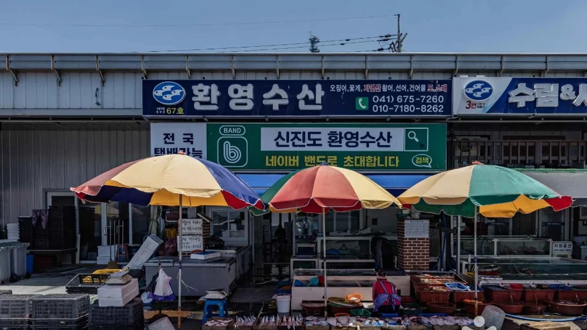 신진항