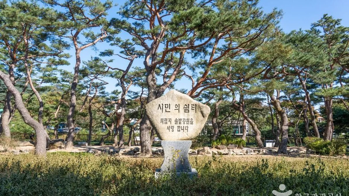 의림지 솔밭공원