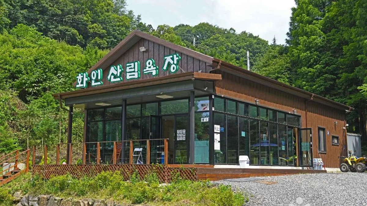 충북 화인산림욕장 숙소, 자연 속 힐링 여행지