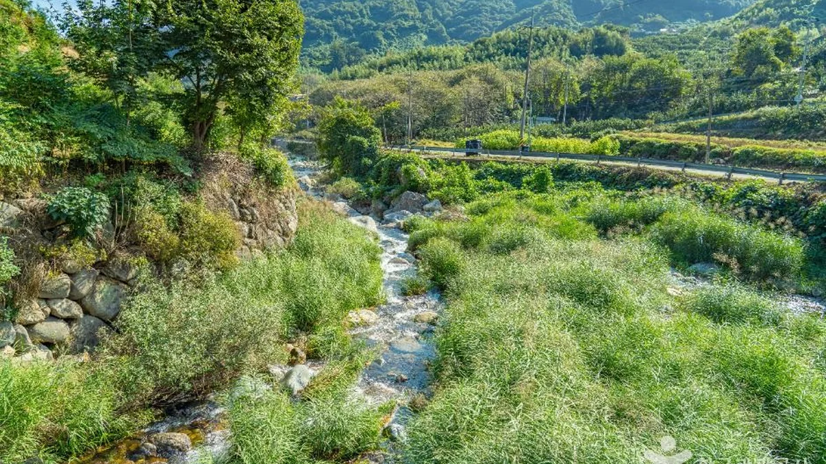 고운동계곡