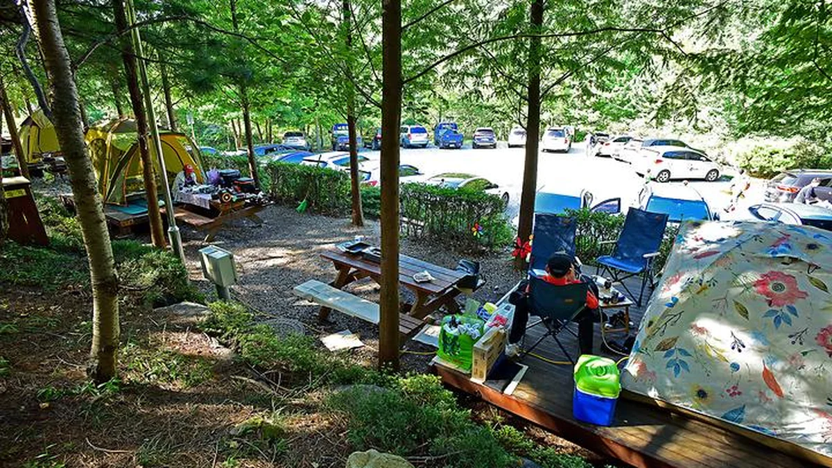 경남 대운산자연휴양림 야영장, 사계절 자연 속 휴식 명소