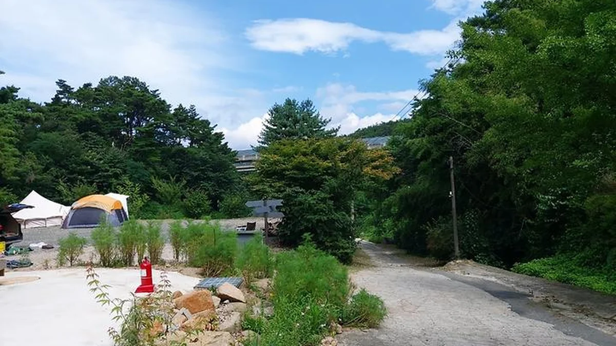 대구 팔공산 야영장, 사계절 매력 숲속 캠핑 명소