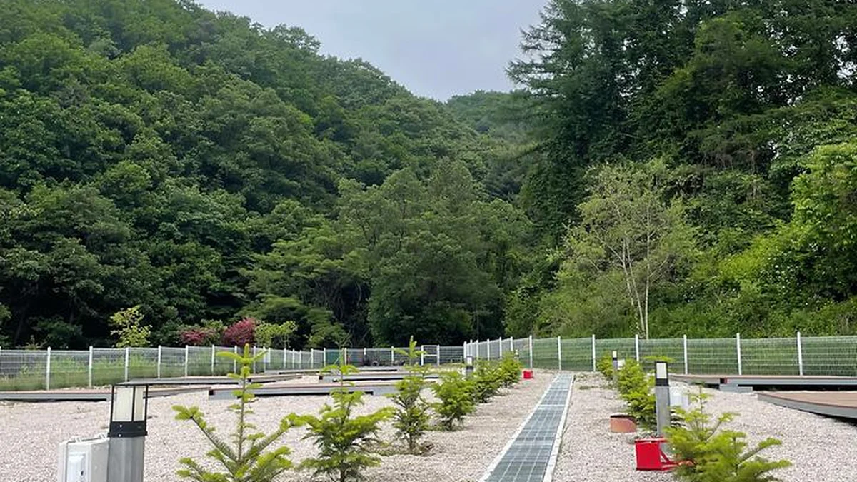 경기 블루베리캠핑장, 사계절 힐링 캠핑 명소