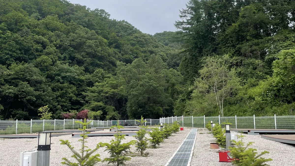 블루베리캠핑장