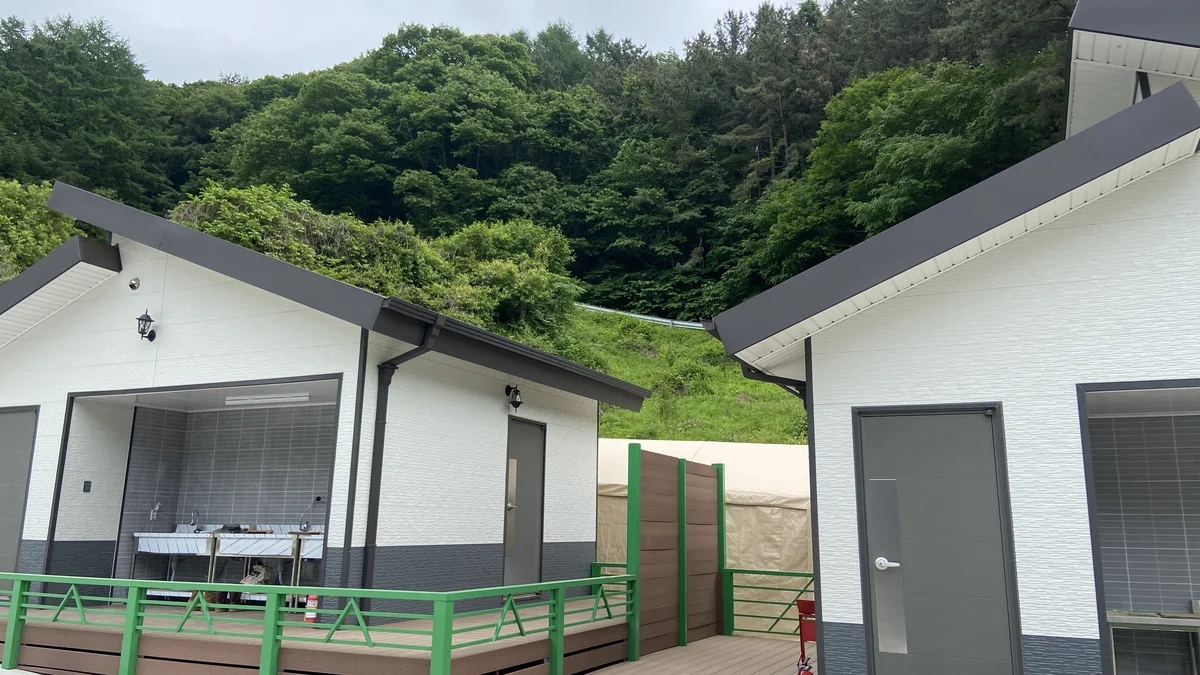 블루베리캠핑장