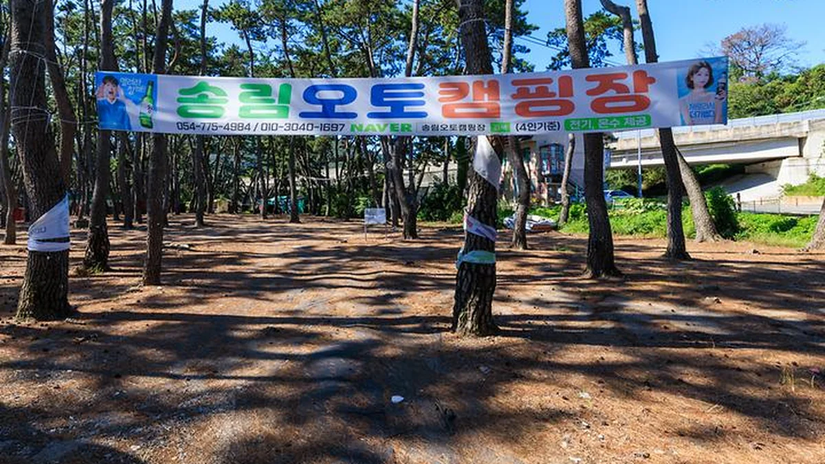 경북 송림오토캠핑장, 여름철 자연 속 캠핑 명소