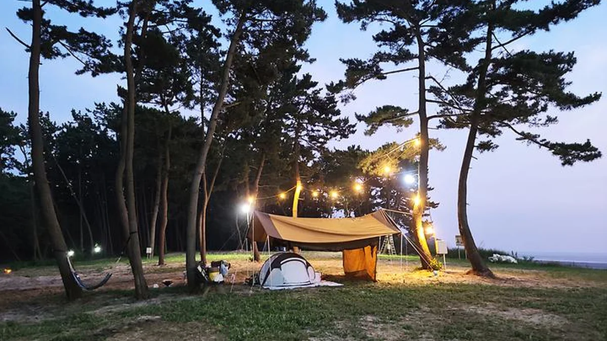 충남 태안노을숲캠핑장, 마검포 앞 바다뷰 절경