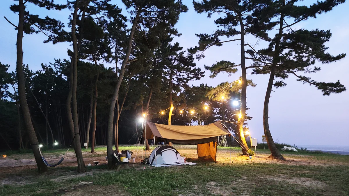 태안노을숲캠핑장