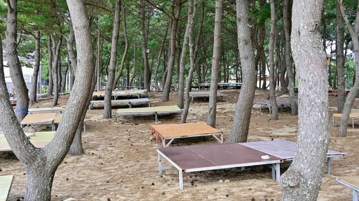 전남 명사십리제2야영장, 여름 방풍림 해변 캠핑 명소