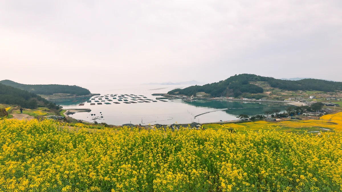 명사십리제2야영장