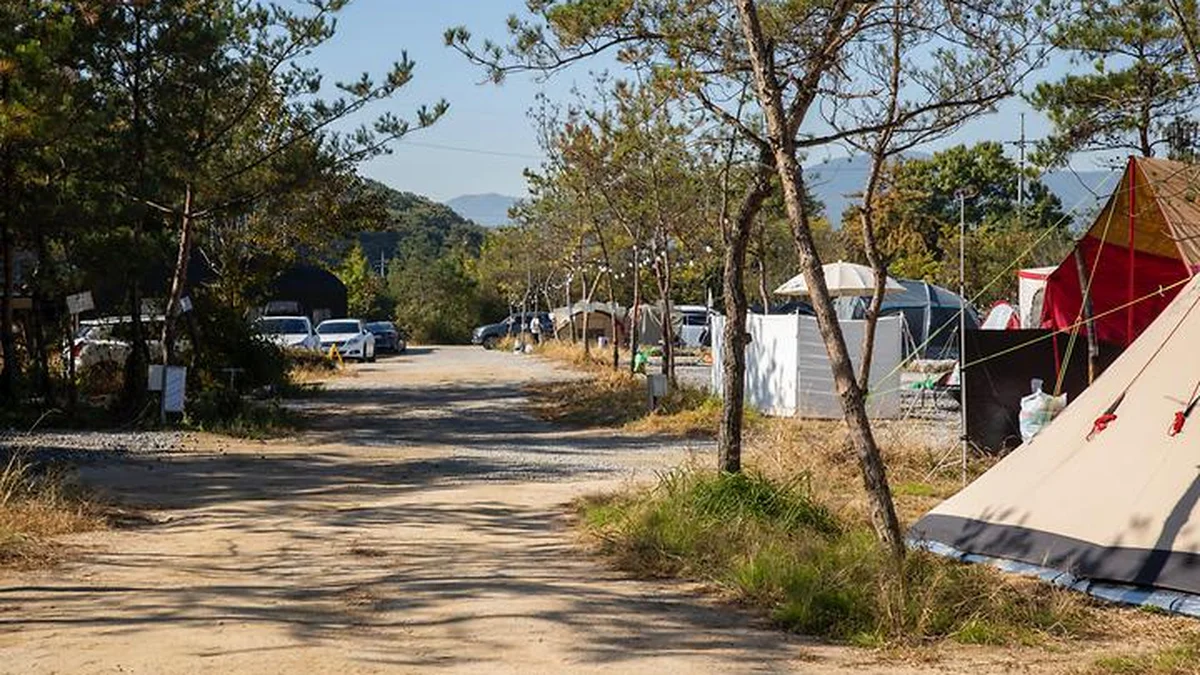 가을의 낭만, 양주 리온 캠핑장 축제