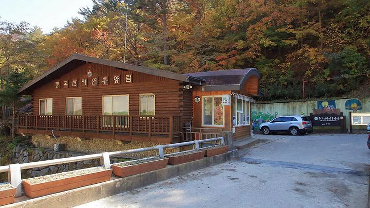 경북 통고산 자연휴양림야영장, 가을 캠핑 축제 소개
