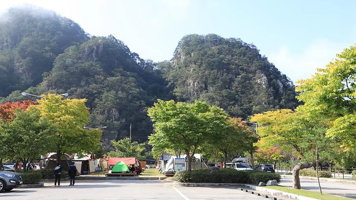 강원 팔봉산관광지 야영장, 반려견과 함께하는 자연 캠핑