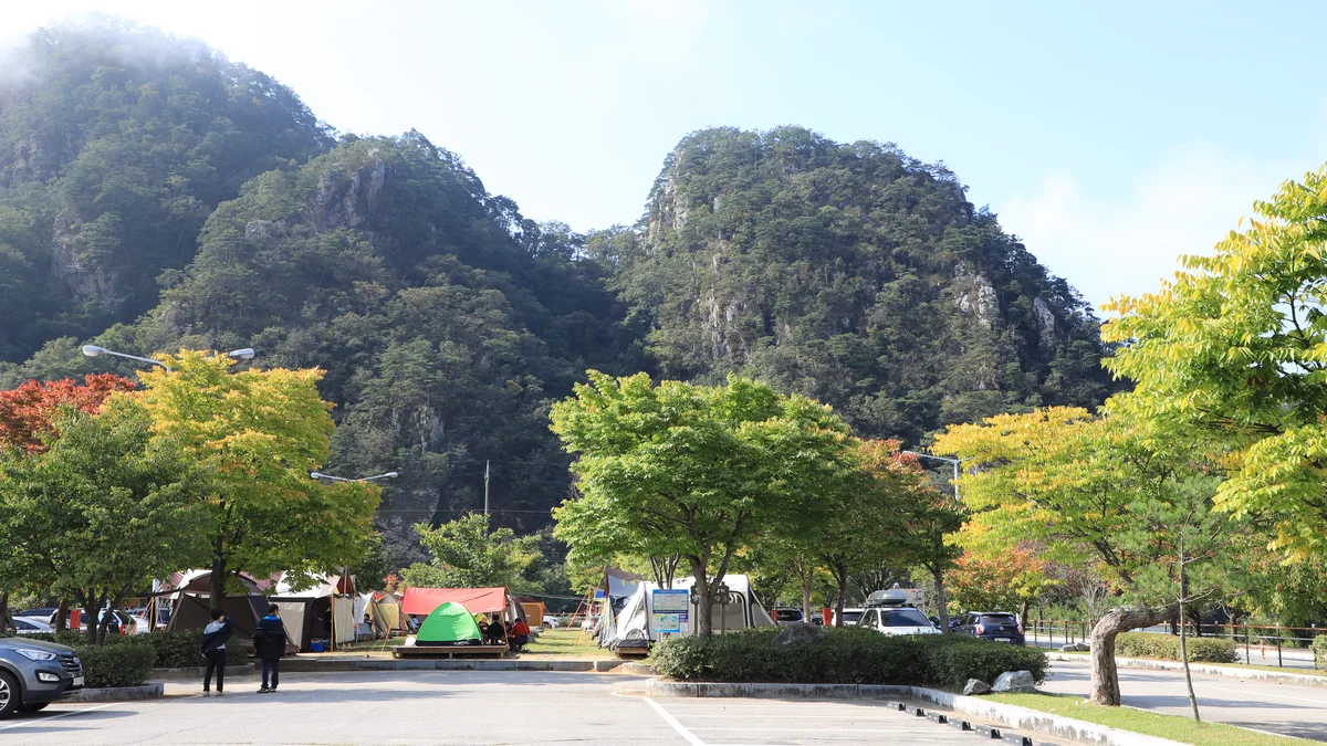 팔봉산관광지 야영장