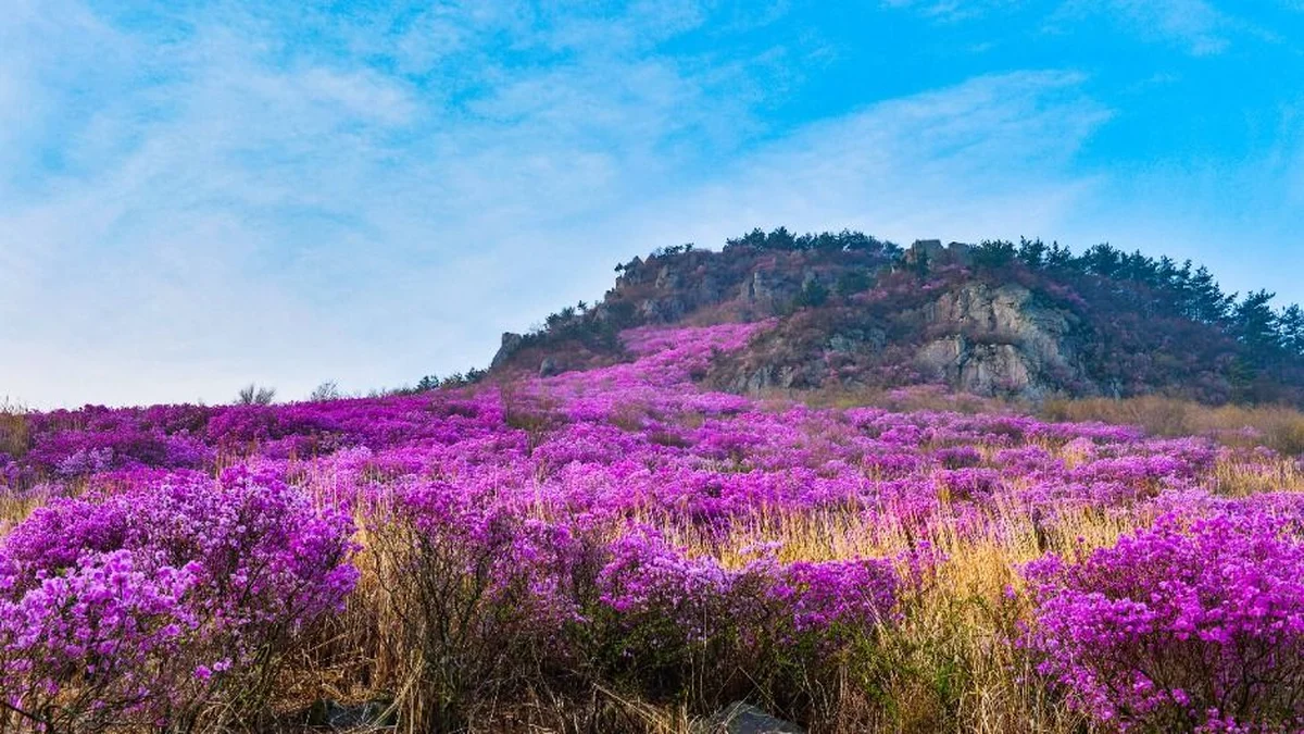 대금산(거제)
