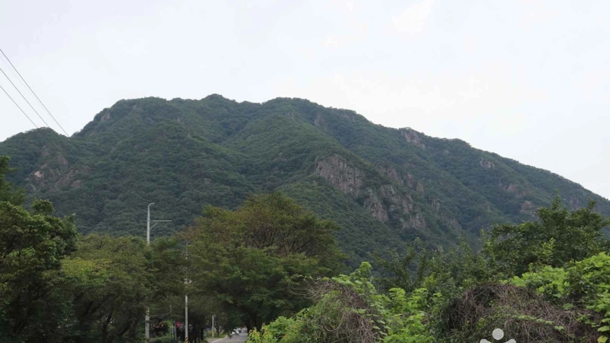 충북 갈기산 자연 카페 체험, 가을 단풍 속 힐링 추천