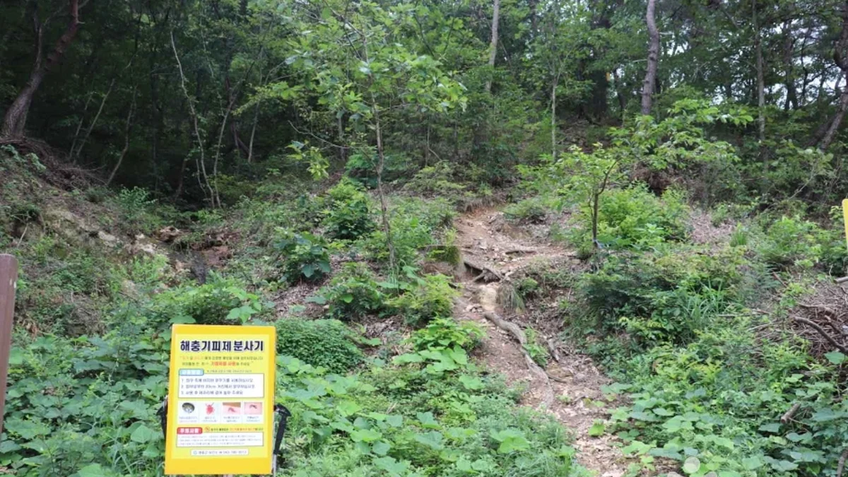 갈기산