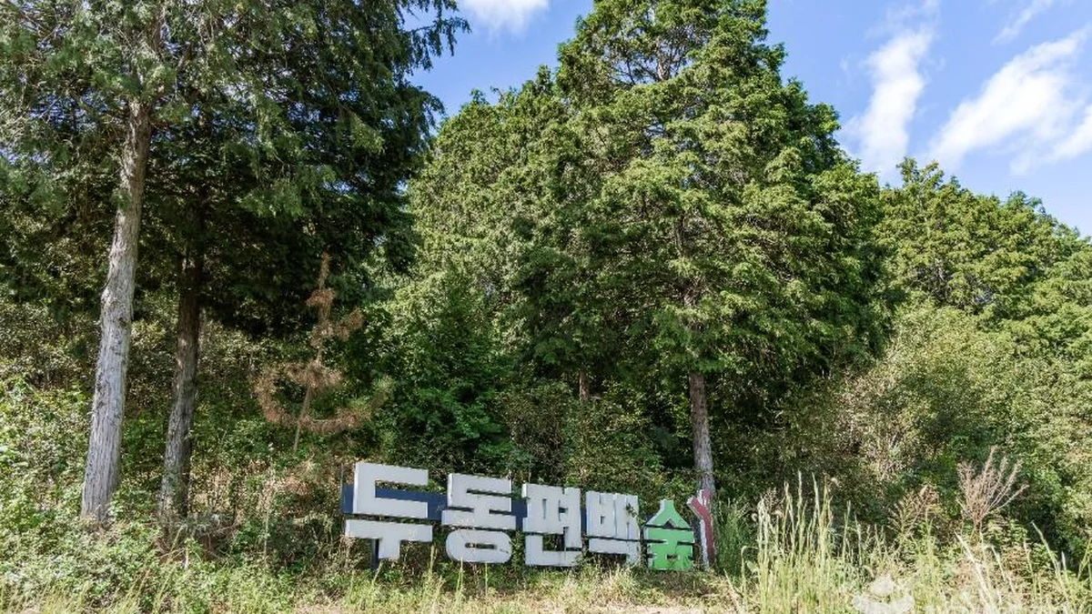 전북 두동편백나무숲 카페, 자연 속에서의 힐링 휴식