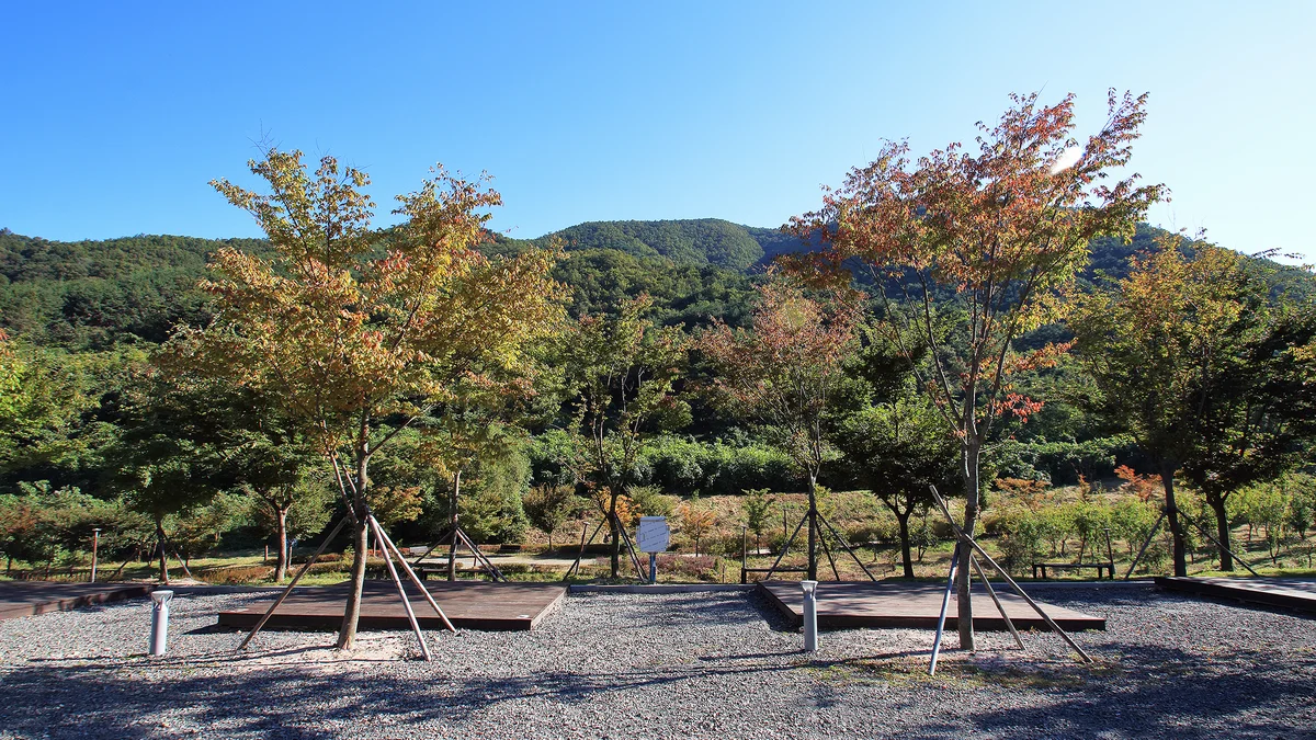 비학산자연휴양림야영장