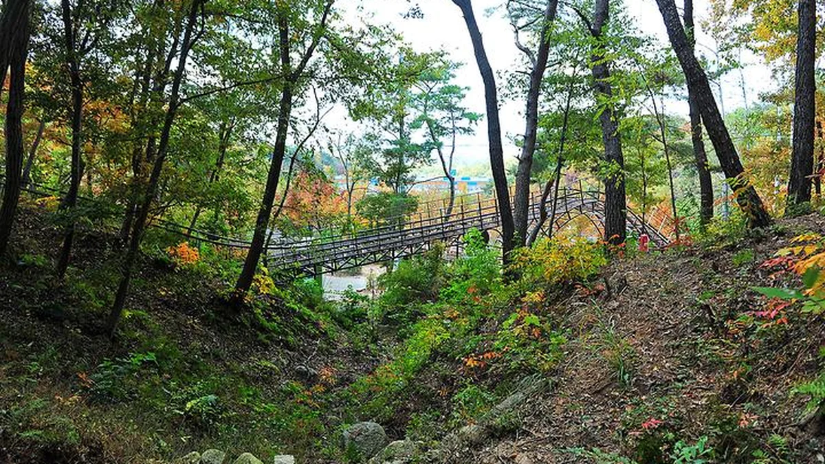 울산 입화산 참살이숲 제2오토야영장, 자연 속 힐링 캠핑장