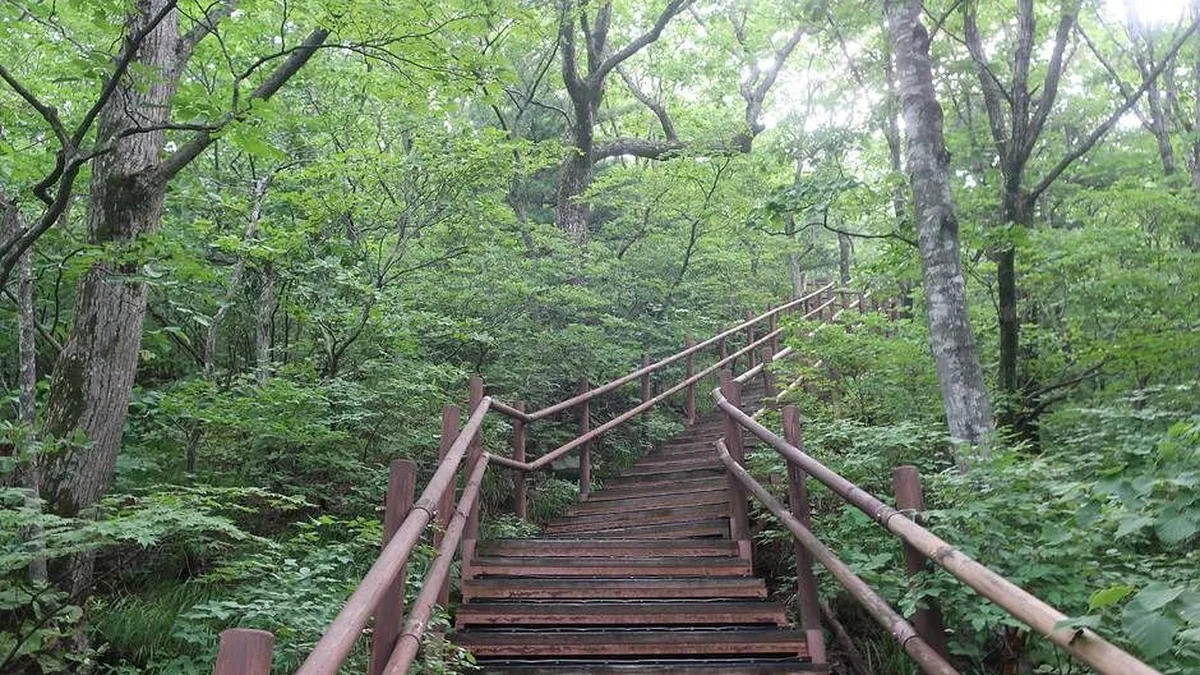 오대산국립공원