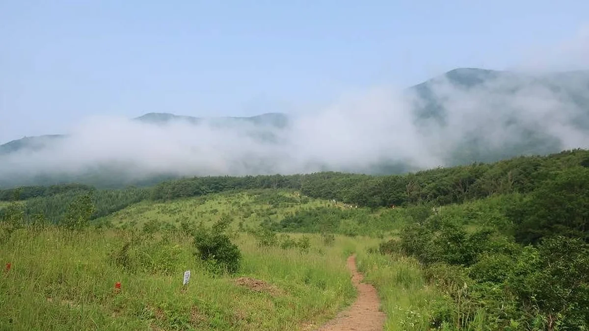 오대산국립공원